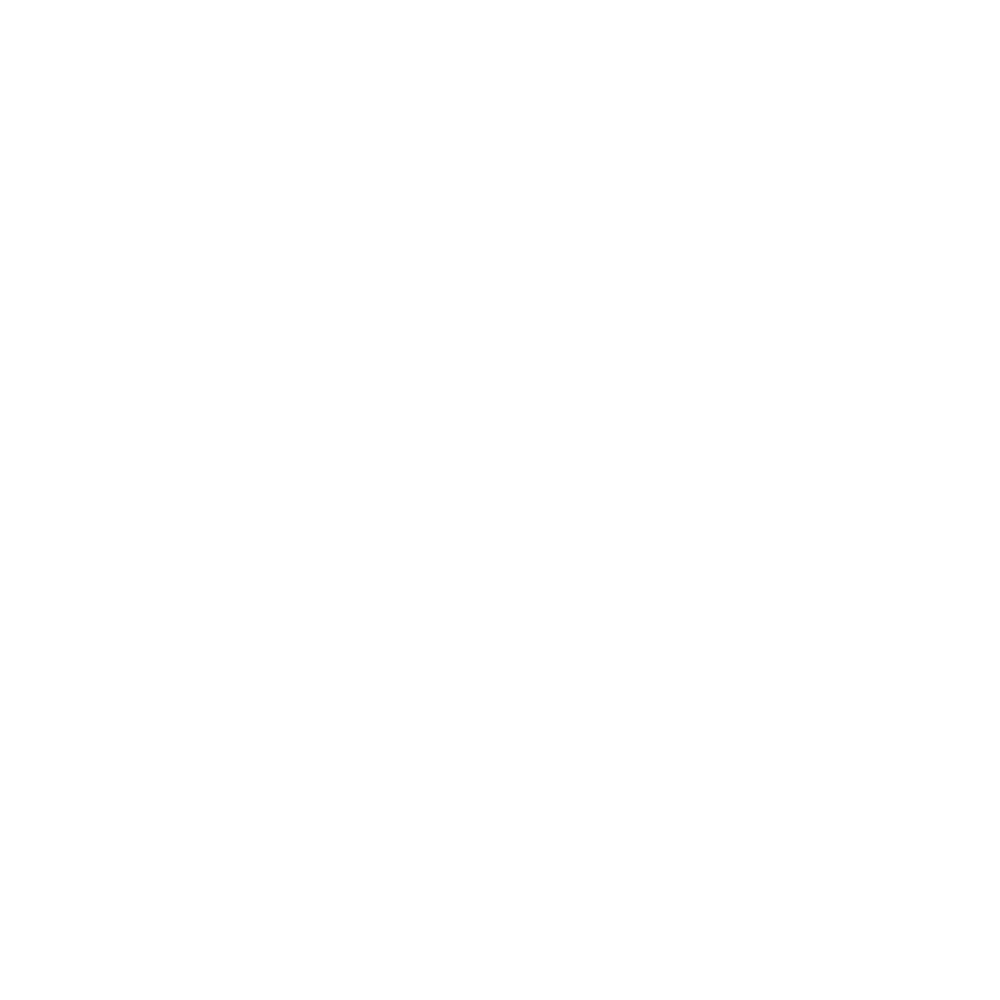 Logo LSVD