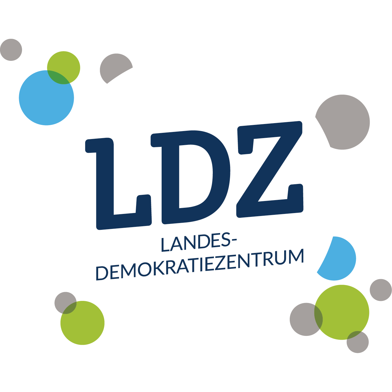 LDZ Logo weißer Hintergrund